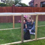 Playing in the rabbit run