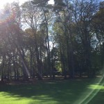 Blading in Christ church park